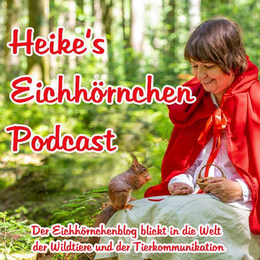 Podcast Heike Adam 1